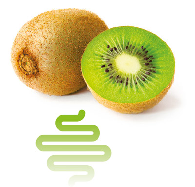 kiwi fruit and gut icon